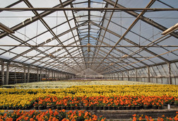 Feuerverzinkte Gewächshäuser